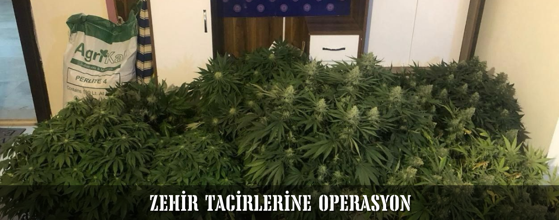 Zehir Tacirlerine Operasyon